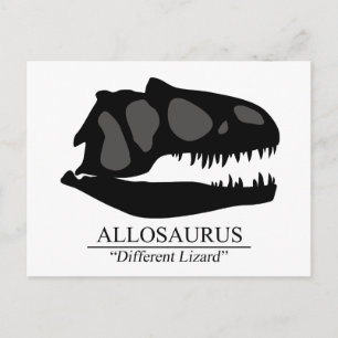 Allosaurus Skull Briefkaart