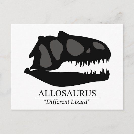 Allosaurus Skull Briefkaart (Voorkant)