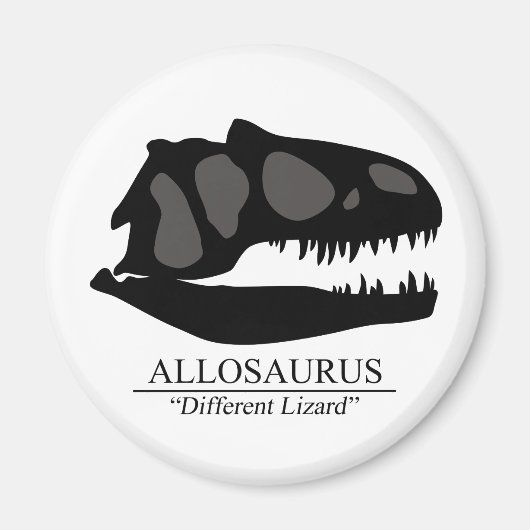 Allosaurus Skull Magneet (Voorkant)