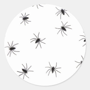Allover Spinnen Halloween Ronde Sticker