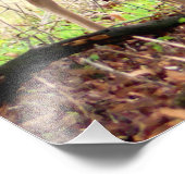 allow Deer of the English Estate Foto Afdruk (Hoek)