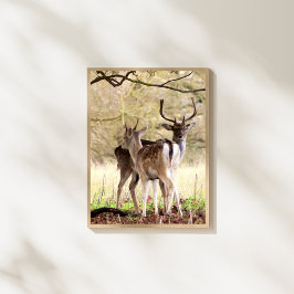 allow Deer of the English Estate Foto Afdruk