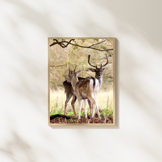 allow Deer of the English Estate Foto Afdruk