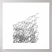 allrivieren poster (Voorkant)