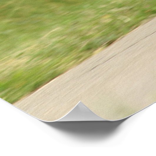 Allroad Wheelie Poster (Hoek)