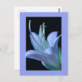 Allround Elegante en Chic Macro Hosta Bloem Briefkaart (Voorkant / Achterkant)