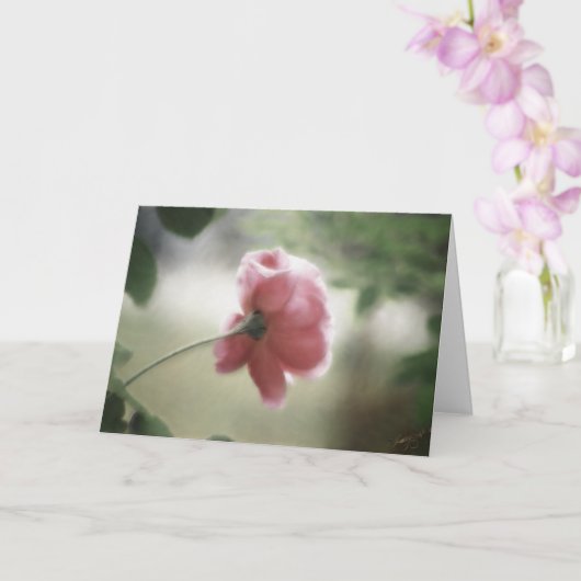 Allround Notitiekaart of Felicitatie (Orchidee)