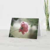 Allround Notitiekaart of Felicitatie (Voorkant)