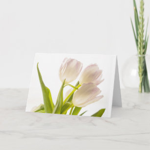 Allround Witte Tulpen Kaart