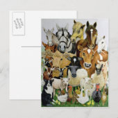 Allsorts Briefkaart (Voorkant / Achterkant)