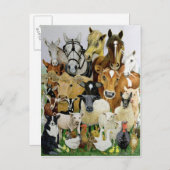 Allsorts Briefkaart (Voorkant / Achterkant)