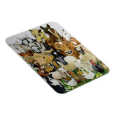 Allsorts Magneet (Rechterzijde)