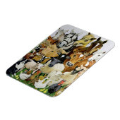 Allsorts Magneet (Linkerzijde)