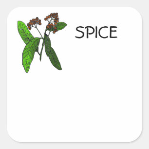 Allspice Design voor Spice of Herb ID Informatie Vierkante Sticker