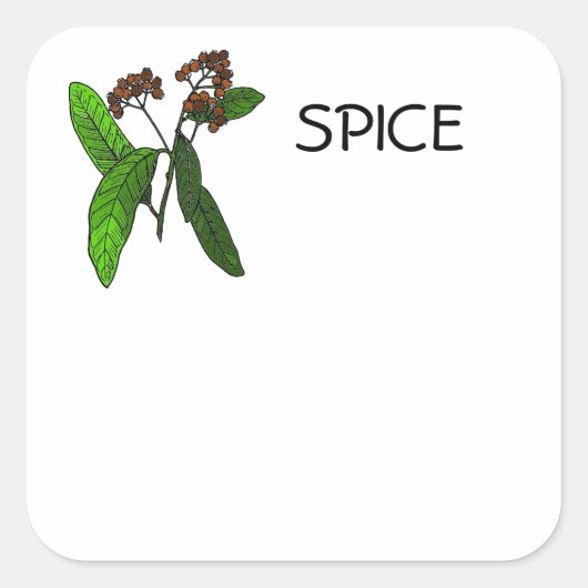 Allspice Design voor Spice of Herb ID Informatie Vierkante Sticker (Voorkant)