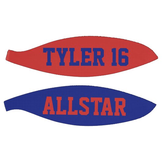 Allstar Crimson en Blue Mini Basketbal (Panelen)