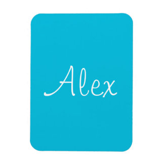 Alluring Aqua Magneet