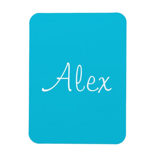 Alluring Aqua Magneet (Verticaal)