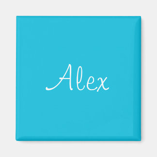 Alluring Aqua Magneet