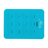 Alluring Aqua Magneet (Horizontaal)