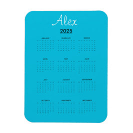 Alluring Aqua Magneet