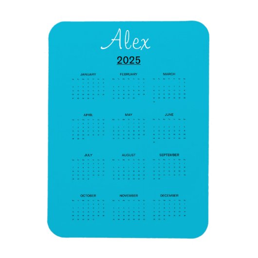 Alluring Aqua Magneet (Verticaal)