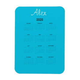 Alluring Aqua Magneet