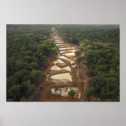 Alluviale goudwinning. Rainforest, Guyana. Poster (Voorkant)