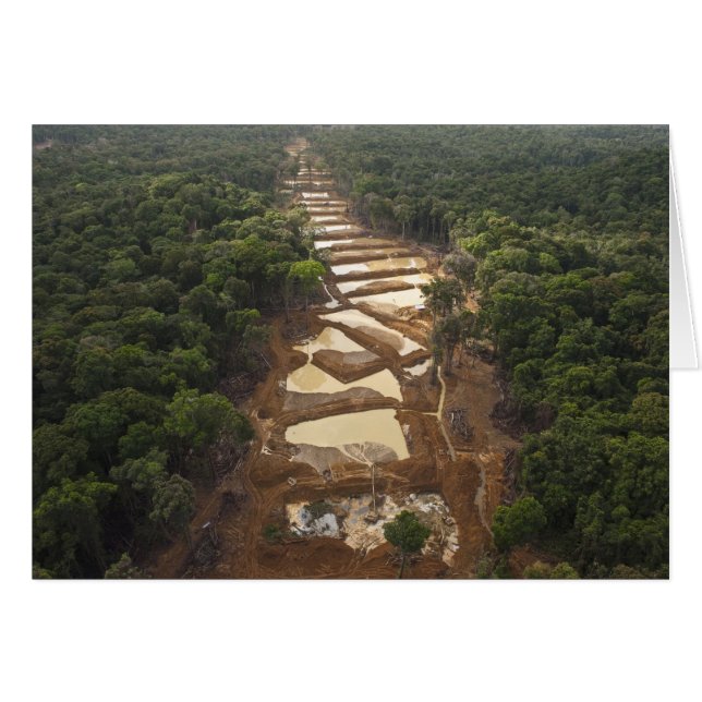 Alluviale goudwinning. Regenwoud, Guyana. (Voorkant Horizontaal)
