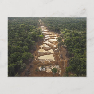 Alluviale goudwinning. Regenwoud, Guyana. Briefkaart