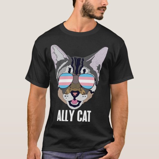 Ally Cat Funny Cat Trans Pride Pullover Hoodie (Voorkant)