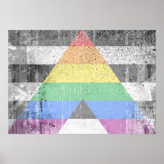 ALLY FLAG DISTRESSED -.png Poster (Voorkant)