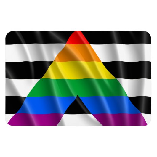 ALLY FLAG FLYING -.png Magneet (Horizontaal)