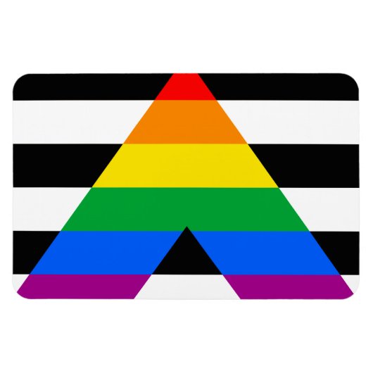 ALLY FLAG ORIGINAL -.png Magneet (Horizontaal)