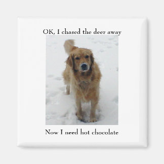 Ally kroop, OK, ik joeg het hert weg, Nu... Magneet