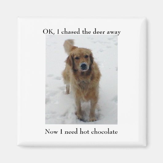 Ally kroop, OK, ik joeg het hert weg, Nu... Magneet (Voorkant)