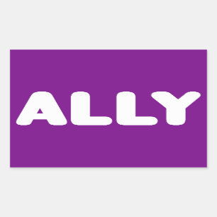 Ally LGBTQ rechtstreeks Ally Spirit Day White en P Rechthoekige Sticker