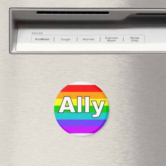 Ally Pride Flag Magneet (Insitu (Vaatwasser))