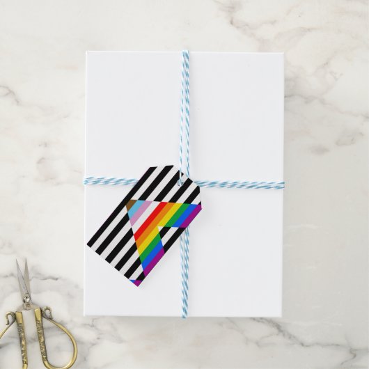 Ally Progress Pride Vlag Cadeaulabel (Met Touw)