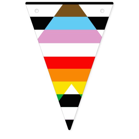 Ally Progress Pride Vlag Vlaggetjes (Tweede vlag)