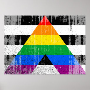 ALLY Vlag in Nood -.png Poster