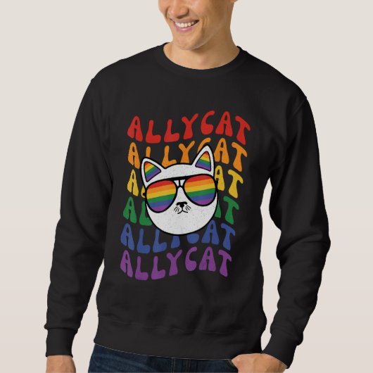AllyCat Ally Cat Gay Pride Rainbow Sunglasses LGB Trui (Voorkant)