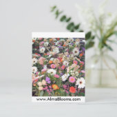 Alma Blooms 1 Briefkaart (Staand voorkant)