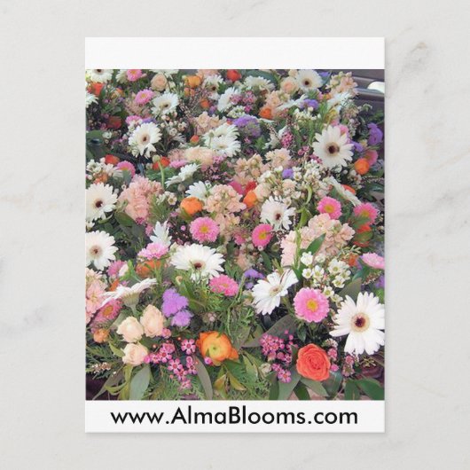 Alma Blooms 1 Briefkaart (Voorkant)