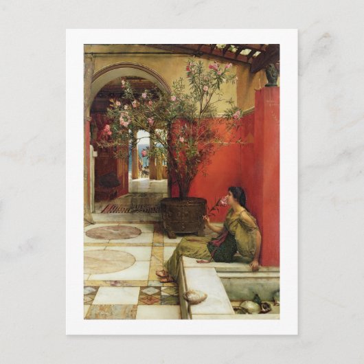Alma-Tadema | An Oleander, 1882 Briefkaart (Voorkant)