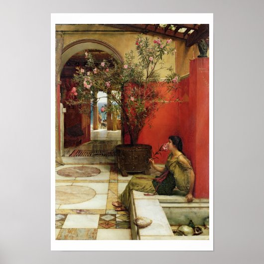 Alma-Tadema | An Oleander, 1882 Poster (Voorkant)