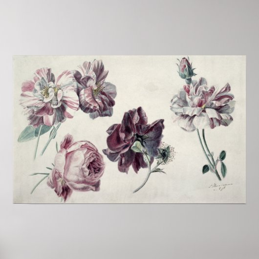 Alma-Tadema | ROZEN Poster (Voorkant)