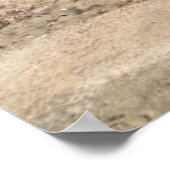 Almería, La Isleta Del Moro | Mar Mediterráneo Poster (Hoek)