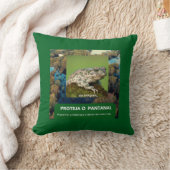 Almofada 40,6 cm x 40,6 cm Sapo Kussen (Deken)