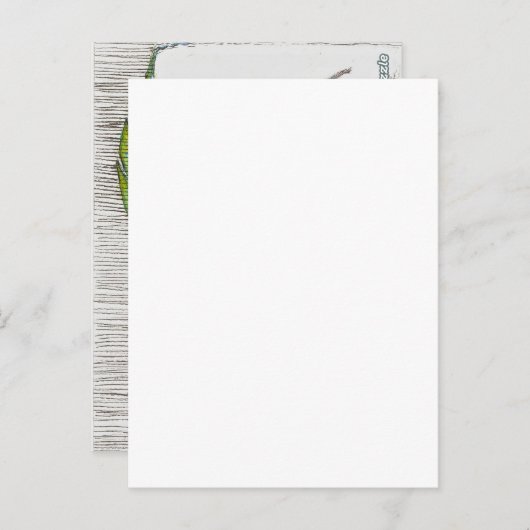 Almofada Baby en Waterverf van mam Elephant Briefkaart (Voorkant / Achterkant)